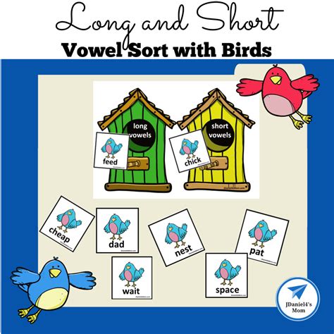 Long And Short Vowel Sort With Birds Jdaniel S Mom