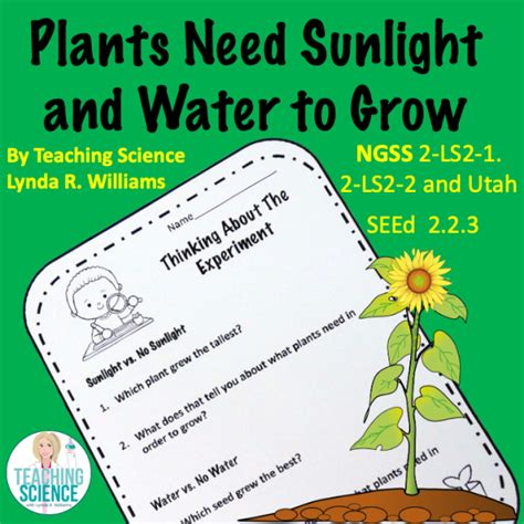 Plants Need Sunlight And Water To Grow Teaching Science With Lynda R