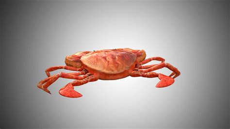 Crab 3d Model Rigged And Low Poly Game Ready Team 3d Yard