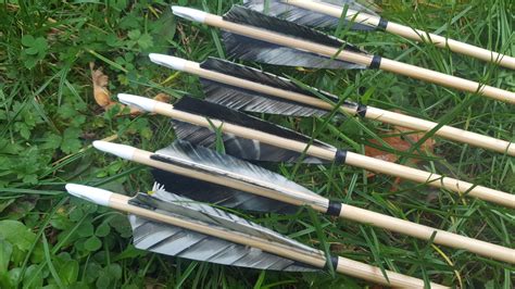 Premium Arrows 1 Dozen Eagle Archery