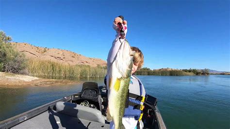 Fishing Lake Havasu With Gilbert Youtube