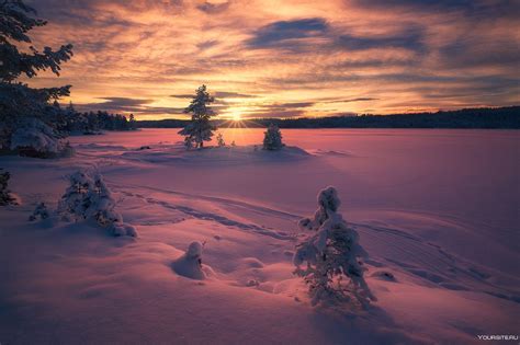 Зимний закат 61 фото