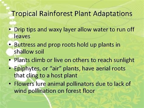 Plant Adaptations An Adaptation Is A Characteristic Which