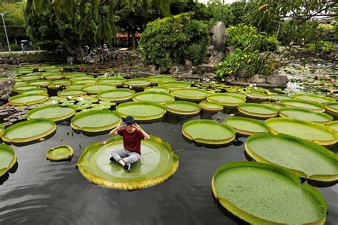 Check spelling or type a new query. Tebak Tebakan Lucu Pakai Logika yang Bikin Mikir Keras ...