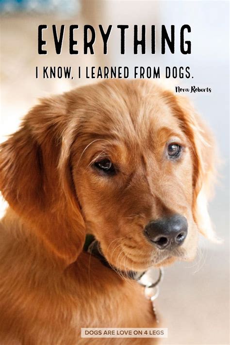 Everything I Know Ive Learned From Dogs Dog Quotes Inspirational