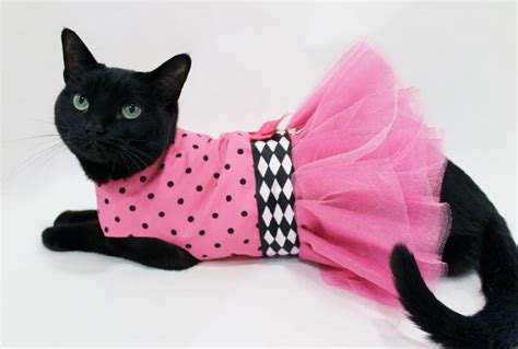 Cest Quoi Ce Look Cat Dresses Cat Clothes