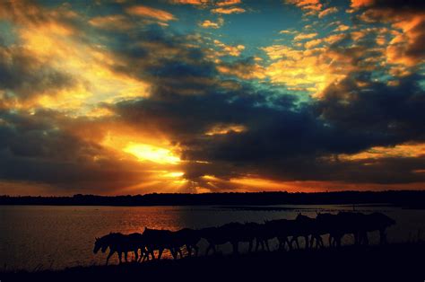 15 Breathtaking Photos Of Horses And Clouds From Around The World Horse