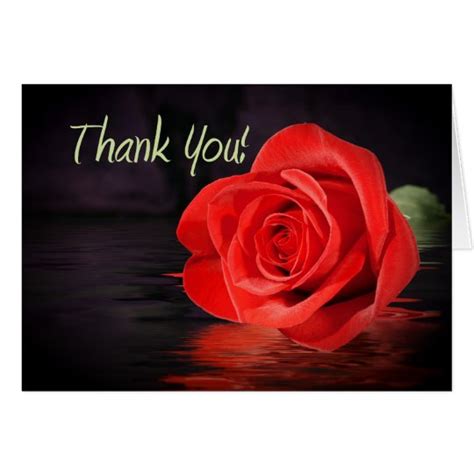 Red Rose Thank You Card Zazzle