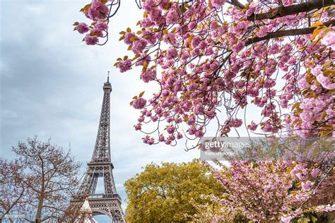 Tour Eiffel Tower In Paris During The Spring Blossom Season High Res
