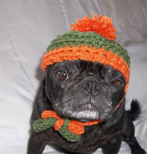 Pet Accessories Dog Hat Crochet Dog Hats By Pamperedpetsplace