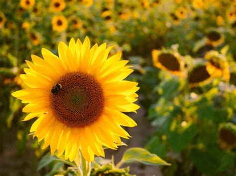 Romantic Getaways in Texas That You Will Love - That Texas Couple