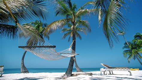 Summer Holiday Hammock On A Beach With Palm Desktop Background