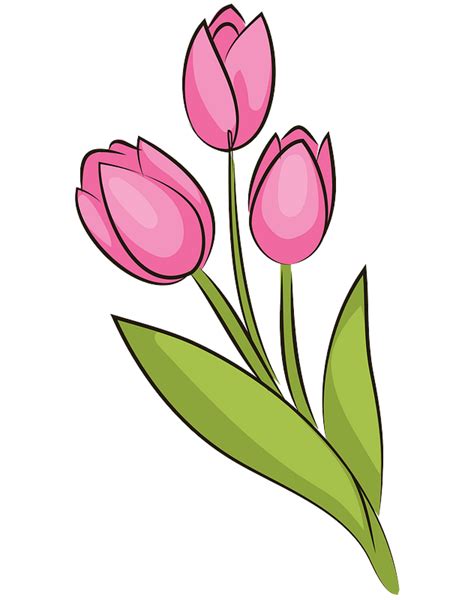 Bouquet Of Tulips Clipart Free Download Transparent Png Creazilla
