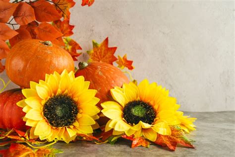Free Photo Pumpkins And Sunflowers Near Autumn Leaves