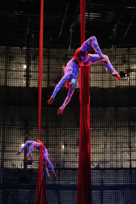 Cirque La Nouba 15th Anniversary Show