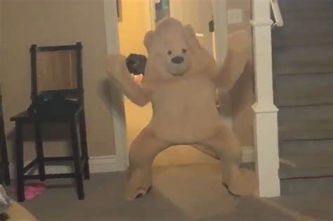 How Do I Love This Dancing Bear Girl Let Me Count All 17 Ways The Verge