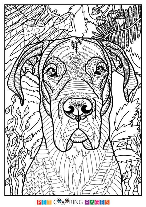 Great dane dog coloring pages are a fun way for kids of all ages to develop creativity, focus, motor skills and color recognition. 494 best Cats + Dogs Coloring Pages for Adults images on ...