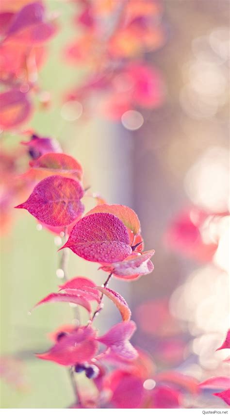 Related articles to cute wallpapers for girls. Cool Girly Wallpapers for iPhone (70+ images)