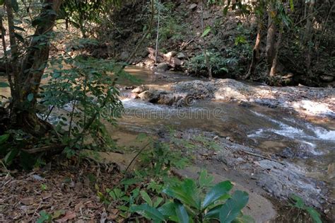 Corriente De Agua De Cascada En El Parque Nacional Chae Son En La Provincia De Lampang Imagen De