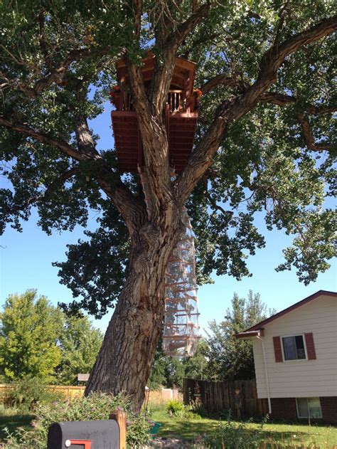 Father Builds An Incredible Tree House For His Daughter 27 Pics