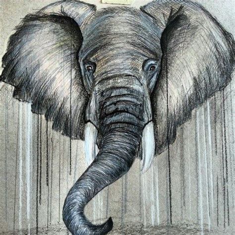 Elephant Drawing Elephant Art Drawing Elephant Drawing Elephant Art