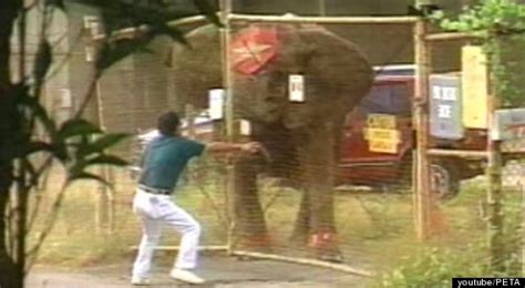 Remembering Tyke Rebellious Circus Elephant And Her Tragic Death