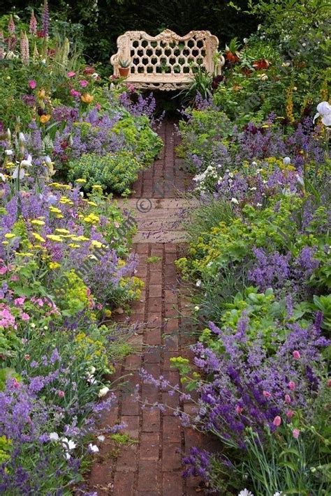 46 Simple Plants And Ground Cover For Your Walkways