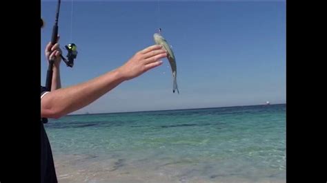 Local Perth Beach Fishing Fishing Wa Series 2 Ep 12 Part 2 Youtube