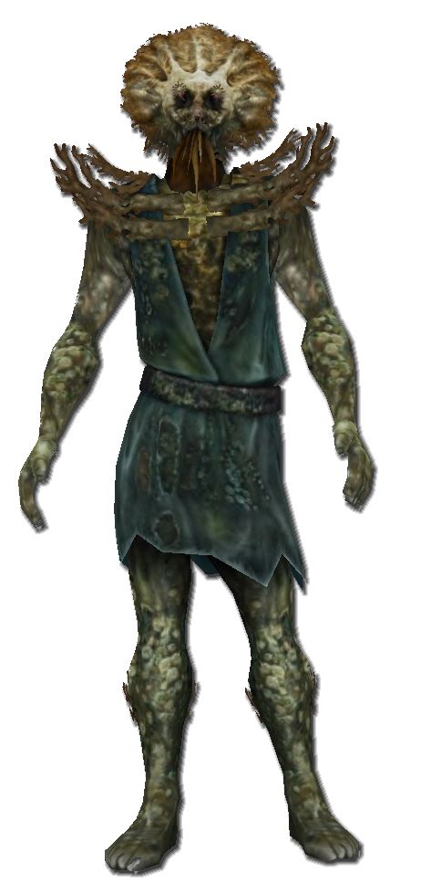 Kelpbrain | Pirates Online Wiki | Fandom powered by Wikia