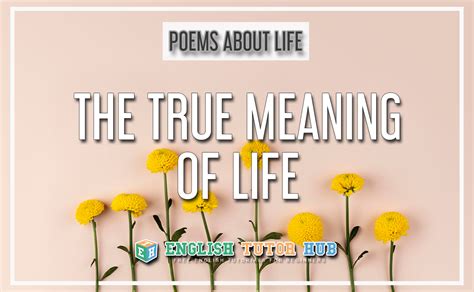 The True Meaning Of Life A Poem About Life Summary And Lesson 2021