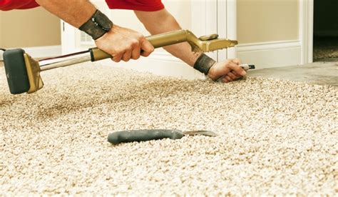 Home Green Clean Carpet Cleaning Services