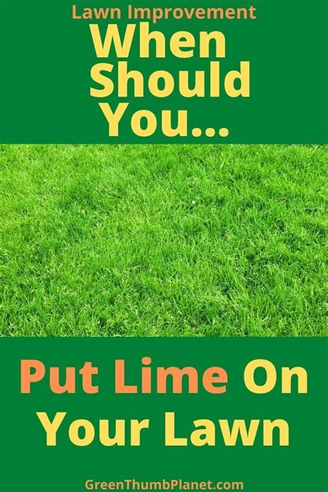 When To Put Lime On Your Lawn In 2020 Lime For Lawns Lawn Care Lawn