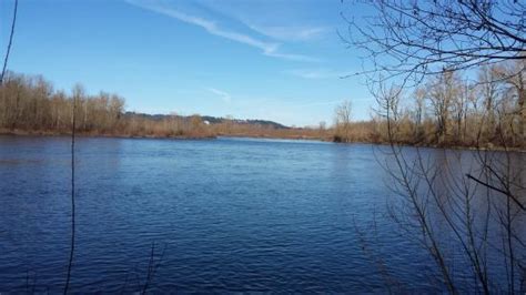 Sandy River Delta Park Troutdale 2020 All You Need To Know Before