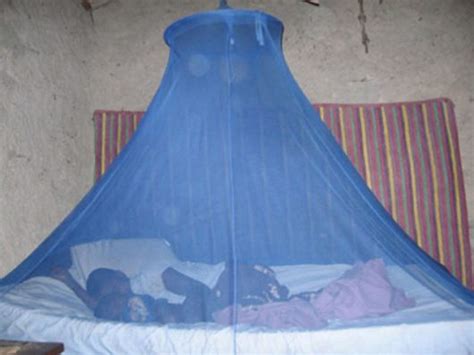 Fighting Malaria With New Mosquito Nets The Borgen Project