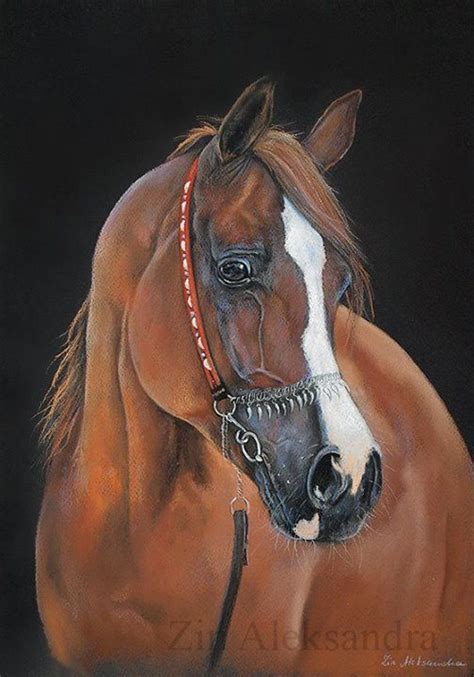 Arabian Horse In Soft Pastels Horse Painting Horse Drawings Arabian