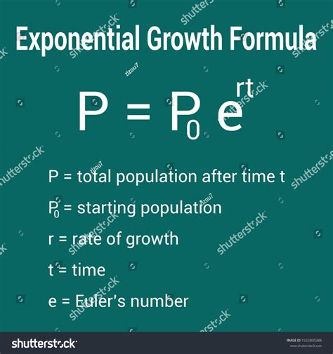 Exponential Growth Decay Formula Stock Vector Royalty Free 1922800388