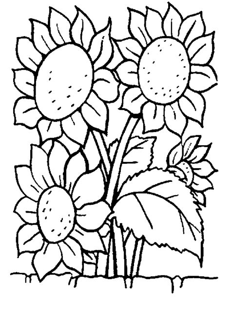 Print & Download - Some Common Variations of the Flower Coloring Pages