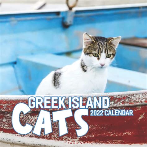 Buy Phoenix Greek Island Cats Calendar 2022 Pretty Cats Lovely Baby