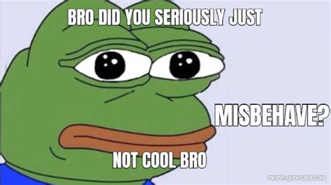 Bro Did You Seriously Just Misbehave Not Cool Bro Meme Generator
