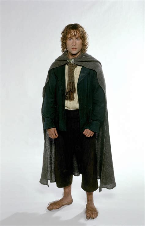 Pippin Lord Of The Rings Hobbit Cosplay Hobbit Costume