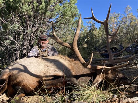 Southern New Mexico Elk Hunting Outfitter