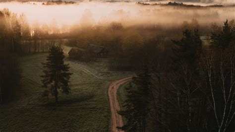 Fog Covered Road Trees Green Grass Field Hd Nature Wallpapers Hd