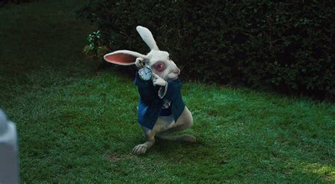 Lapin Alice Au Pays Des Merveilles Film - Le lapin blanc d'Alice aux pays des merveilles — Rabbits World