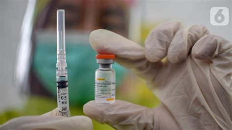 Ini karena, vaksin dibuat melalui tahapan pengembangan dan pengujian yang lengkap. Tips Dokter dalam Mengurangi Efek Samping Vaksin COVID-19 - Health Liputan6.com