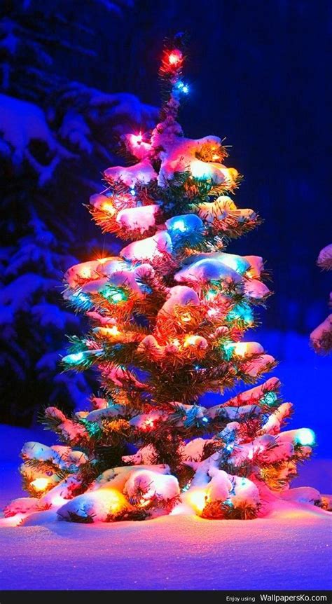 Christmas Tree Phone Wallpapers Wallpaper Cave