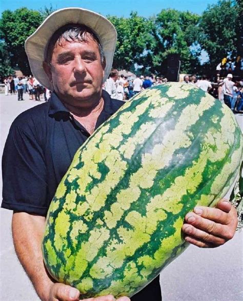 A Big Watermelon Image Your Image Watermelon