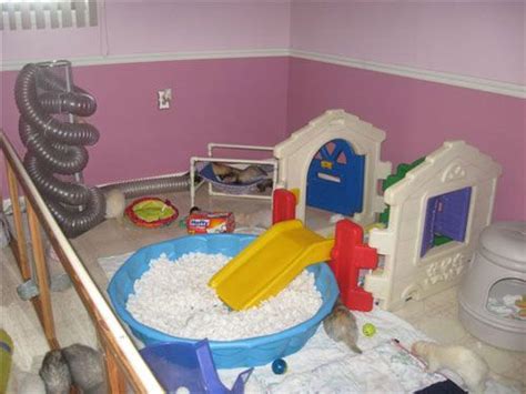 what our next ferret room is going to look like with some additional runs along the walls