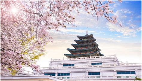 Maybe you would like to learn more about one of these? 8 Tips dari Futuready Bikin Liburan ke Korea Selatan Makin ...