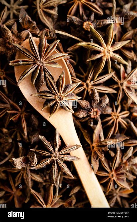Chinese Star Anis Hi Res Stock Photography And Images Alamy