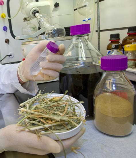 The key to unlocking low‐cost cellulosic ethanol. One-Pot to Prep Biomass for Biofuels: | Berkeley Lab